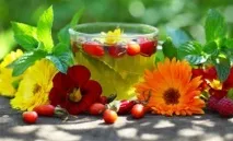 Особливості лікування пієлонефриту при вагітності пієлонефриту