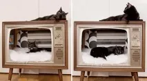 застосування