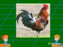 Лист великої літери П - початкові класи, уроки уроки