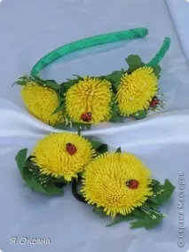 країна