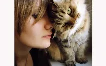 Чому кішки муркотять чому