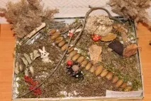 План-конспект заняття з аплікації «Осінній ліс» у середній групі дитячого садка. аплікації