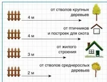 Планування ділянки 12 соток ділянки