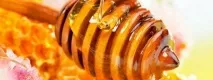 Апітерапія чи лікування продуктами бджільництва – ефективний метод народної медицини для лікування апітерапія