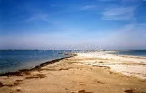 Азовське море узбережжя, характеристики, особливості особливості