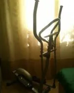 Безкоштовні оголошення з рук в руки «Декоративні собаки» безкоштовні