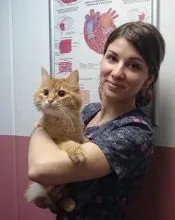 Безпліддя собак та котів причини