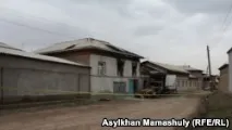 Сариагаш. Земля – головна годувальниця. ВІДЕО сариагаш