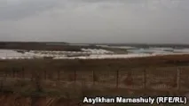 Сариагаш. Земля – головна годувальниця. ВІДЕО годувальниця
