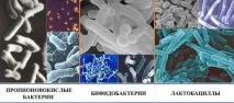 Біфіформ інструкція із застосування, показання, дешеві аналоги біфіформ