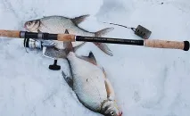 Блог Дмитра Баришева вудлища