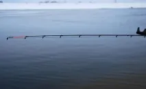 Блог Дмитра Баришева дмитра