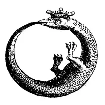 illustrator