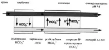 буферни