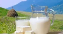 Чи корисне козяче молоко для дитячого організму козяче