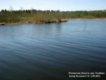 Поїздка на острів імені Заліта до Псковської області 1 травня 2012 імені