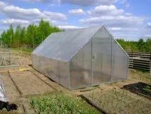 Полікарбонатні теплиці особливості, переваги, вибір матеріалу для покриття, каркасу, матеріалу