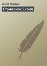 стрижонок