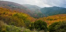 Церква Святої Феодори (Пелопоннес), ЕКСКУРСІЇ З ВСІЙ ГРЕЦІЇ ЛІЦЕНЗІЯ № 33TA02337E1 Моб церква