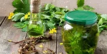 Чистотіл від папілом ефективність засобу та застосування при видаленні наростів папілом