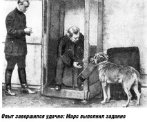ЧЕТВЕРОНОГІ ТЕЛЕПАТИ АКАДЕМІКА БЕХТЕРЕВА четвероногі