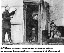 ЧЕТВЕРОНОГІ ТЕЛЕПАТИ АКАДЕМІКА БЕХТЕРЕВА телепати