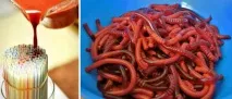 Хробаки з фруктового желе ідея та рецепт десерту до Хеллоуїну хробаки