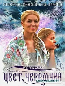 цвет