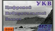 Цифровий виборчий виклик у ДМССБ виборчий