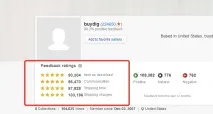 Детальна оцінкапродавця на eBay що це таке і як з нею працювати ebay