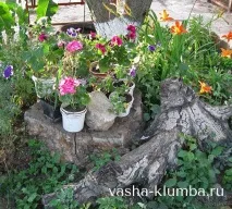 Декор саду своїми руками фото саду