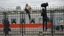 Дофамін пов’язаний не із задоволенням, а з мотивацією дофаміну