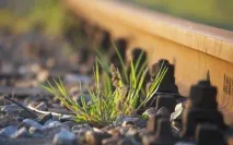 Для чого потрібне каміння вздовж залізничних колій чого