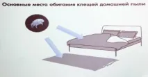 Dyson алергії - бій! Події алергії