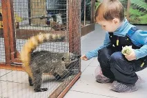 Їдемо з дітьми на екоферми та до зоопарків Підмосков’я екоферми