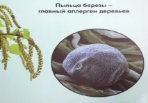 Dyson алергії - бій! Події Dyson