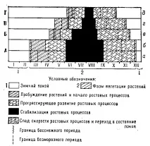 може