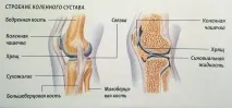 Фізіотерапія лікування суглобів, артрозу колінного суглоба в клініці Точний діагноз суглобів