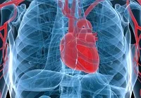 Гастроскопія уві сні, під наркозом - ФГДС шлунка з анестезією фгдс