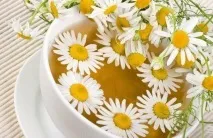 Користь та шкода чаю з ромашки, способи заварювання ромашкового чаю ромашки