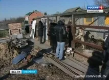 ДТРК - Далекосхідна - Депутатам показали притулок для бездомних собак притулок