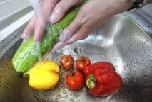 Інфузорія балантидій кишковий або балантидіаз що це, шляхи зараження шляхи