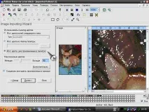 Інструкція з корекції квітів Pattern Maker, Клуб любителів чихуахуа квітів