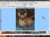 Інструкція з корекції квітів Pattern Maker, Клуб любителів чихуахуа квітів