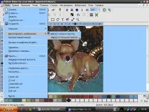 Інструкція з корекції квітів Pattern Maker, Клуб любителів чихуахуа корекції