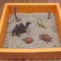 тварини