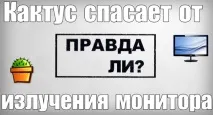 шкода