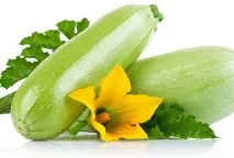 Кабачки, посадка, догляд, збирання врожаю кабачки