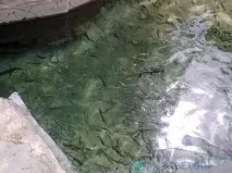 Йод, що міститься у воді - відповіді та поради на твої запитання міститься