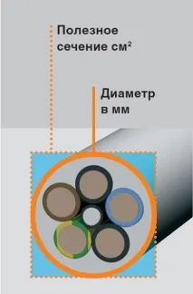 лоток